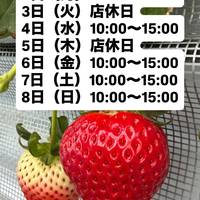 画像290