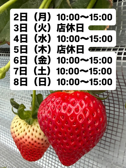 画像290