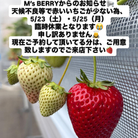 画像355
