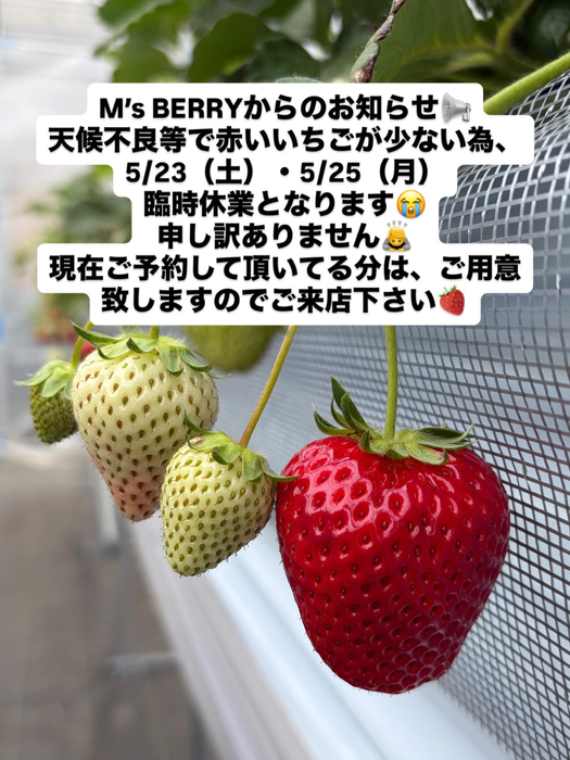画像355