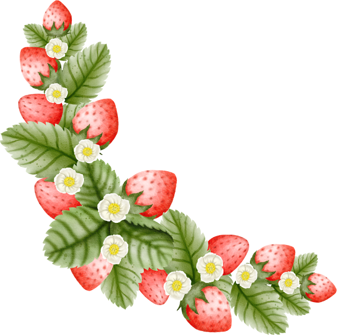 M’s BERRY　左