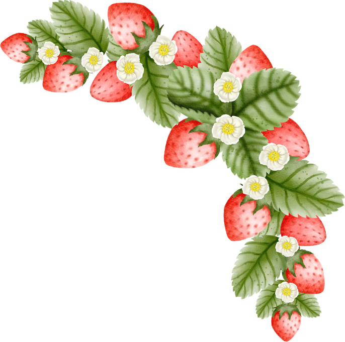 M’s BERRY　右